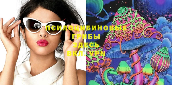 круглые Алзамай
