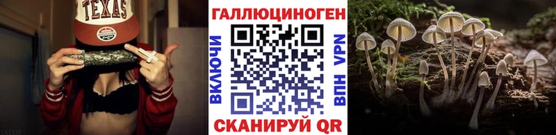 Галлюциногенные грибы Cubensis Тейково