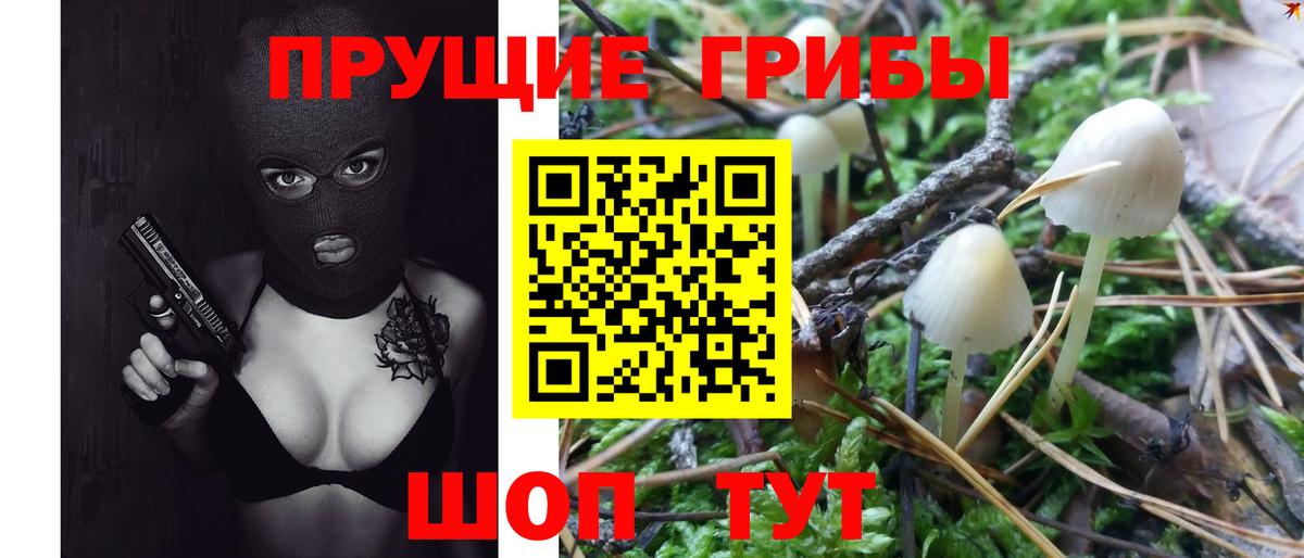 Галлюциногенные грибы мухоморы Тейково